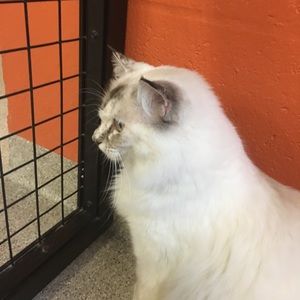 Meet your Posher, Kayleigh